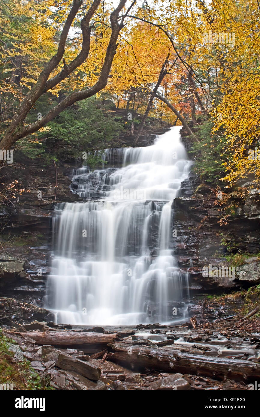 Cascata del Ricketts Glen State Park,Benton,Pennsylvania,STATI UNITI D'AMERICA. Foto Stock