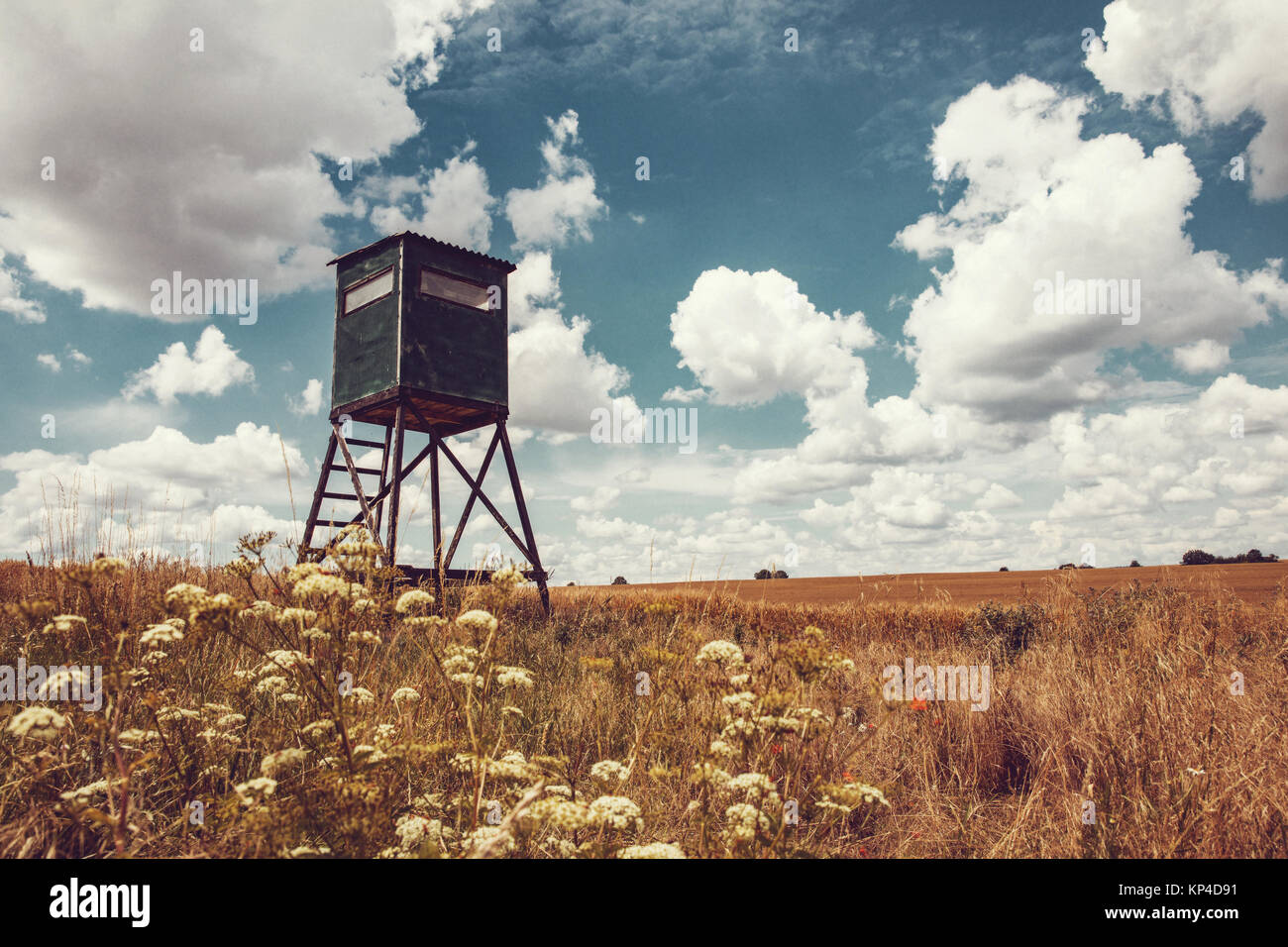 Animal watching torre sul campo. Cielo di nuvole. Foto Stock