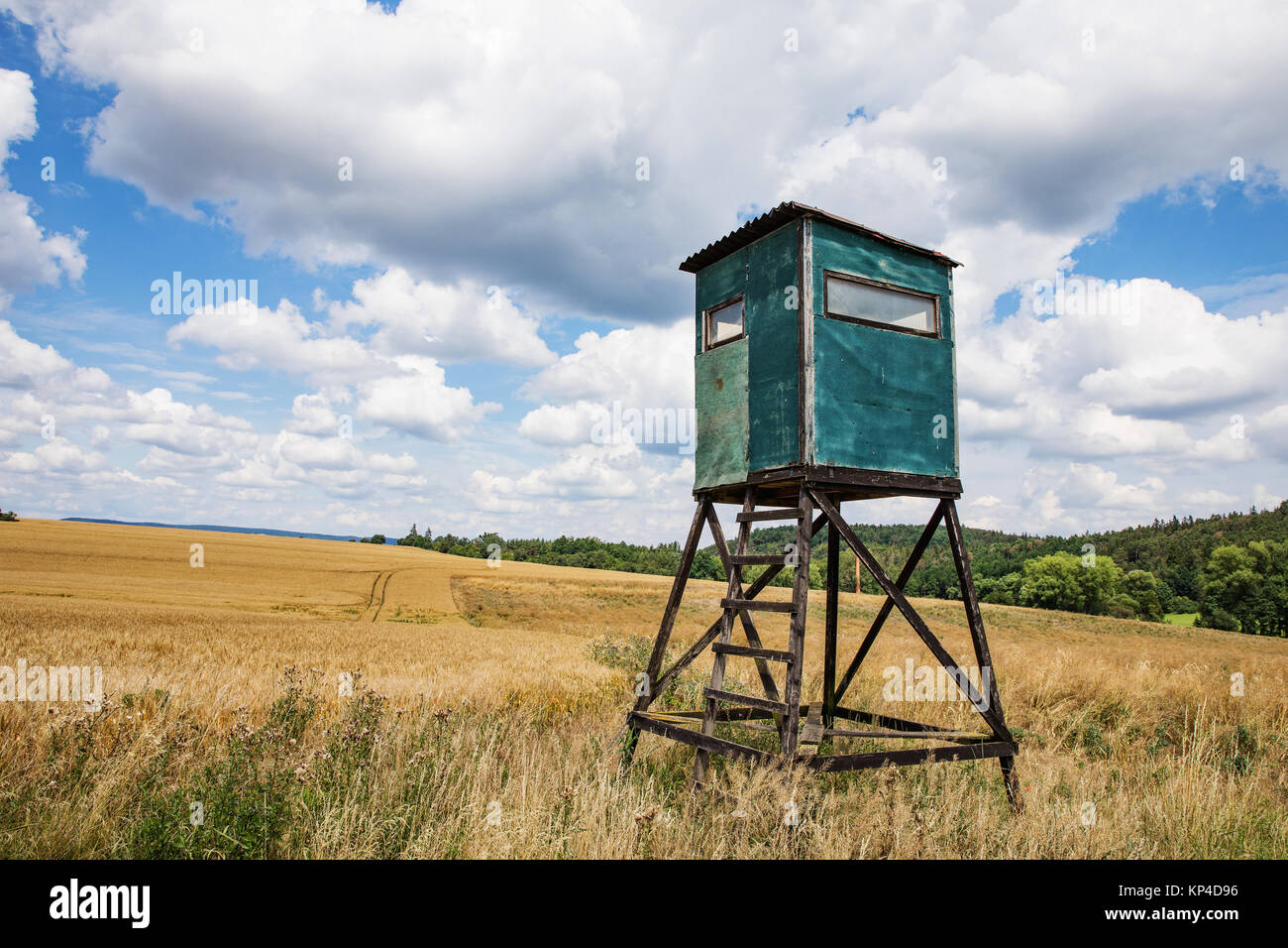 Animal watching torre sul campo. Cielo di nuvole. Foto Stock