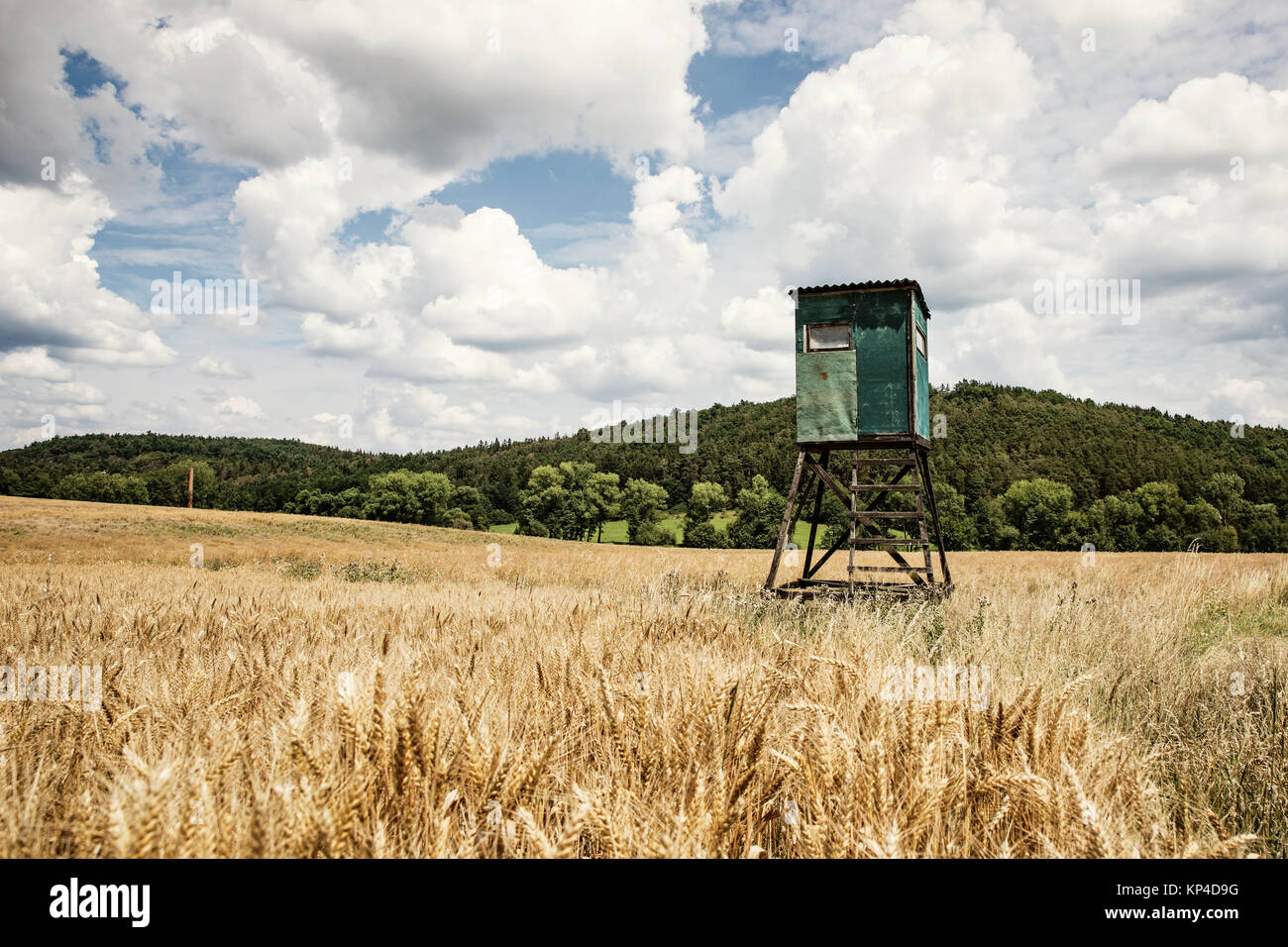 Animal watching torre sul campo. Cielo di nuvole. Foto Stock