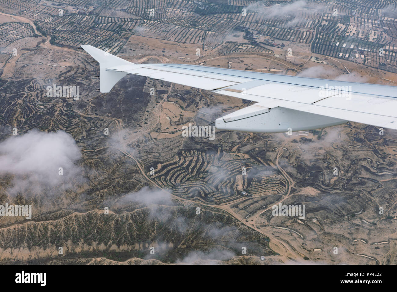 Vista aerea del paesaggio in Tunisia. Deserto con alberi. Vista dall'aereo. Foto Stock