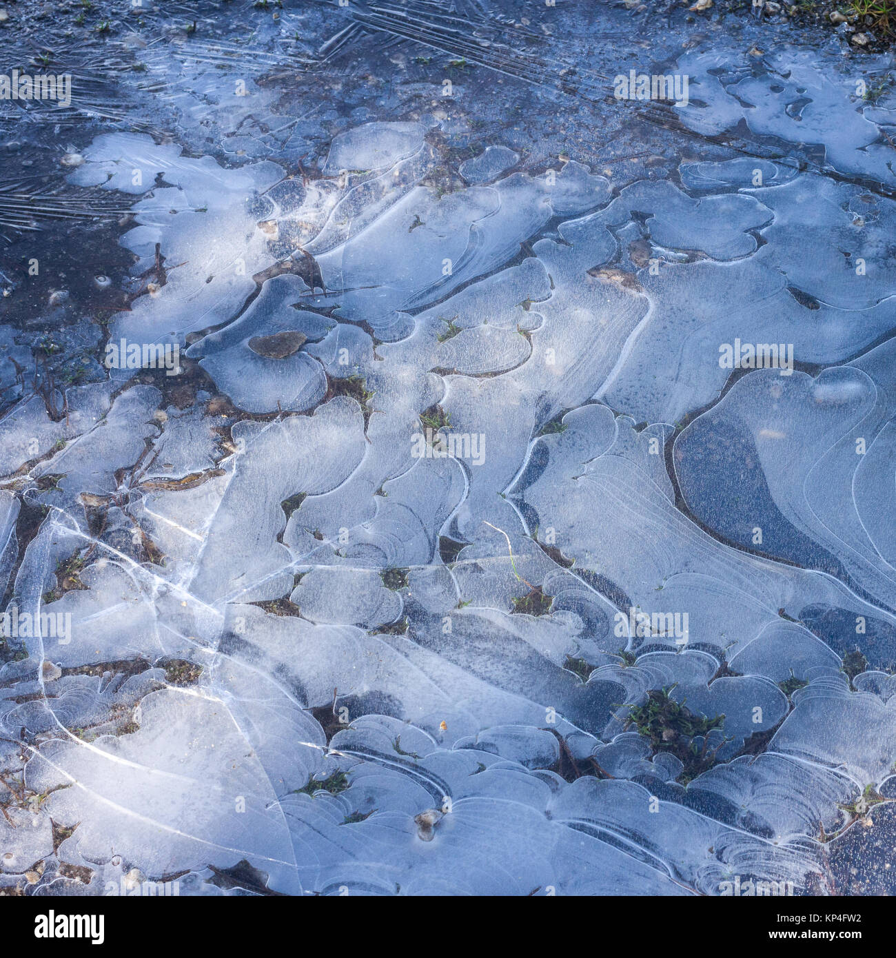 Modelli di ghiaccio in una pozza congelate di acqua Foto Stock