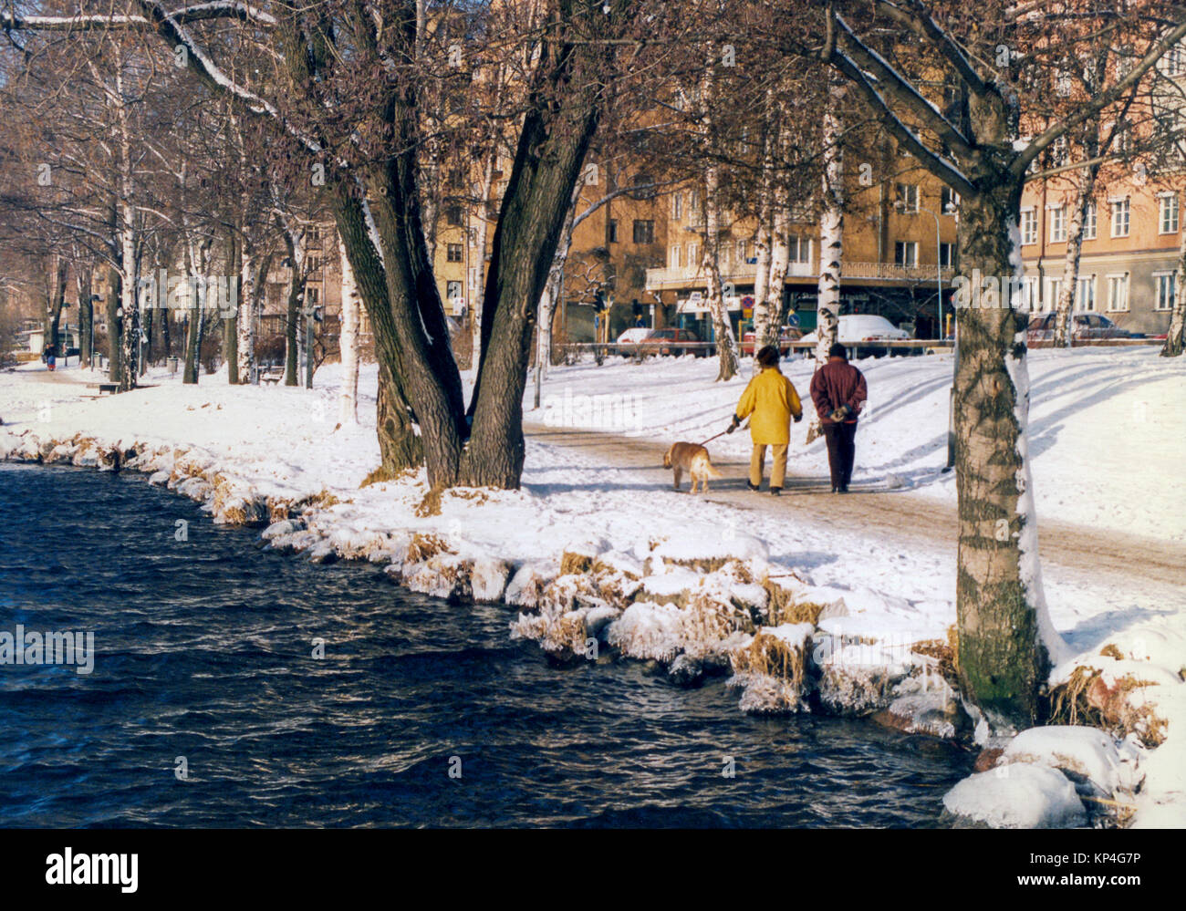 Passeggiata invernale con il cane lungo il lago Mälaren nella città di Stoccolma 2015 Foto Stock