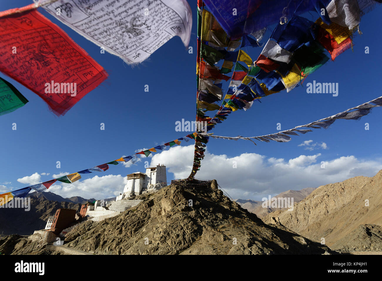 Tsemo Gompa in Leh con la preghiera le bandiere in primo piano, Ladakh, Jammu e Kashmir in India. Foto Stock