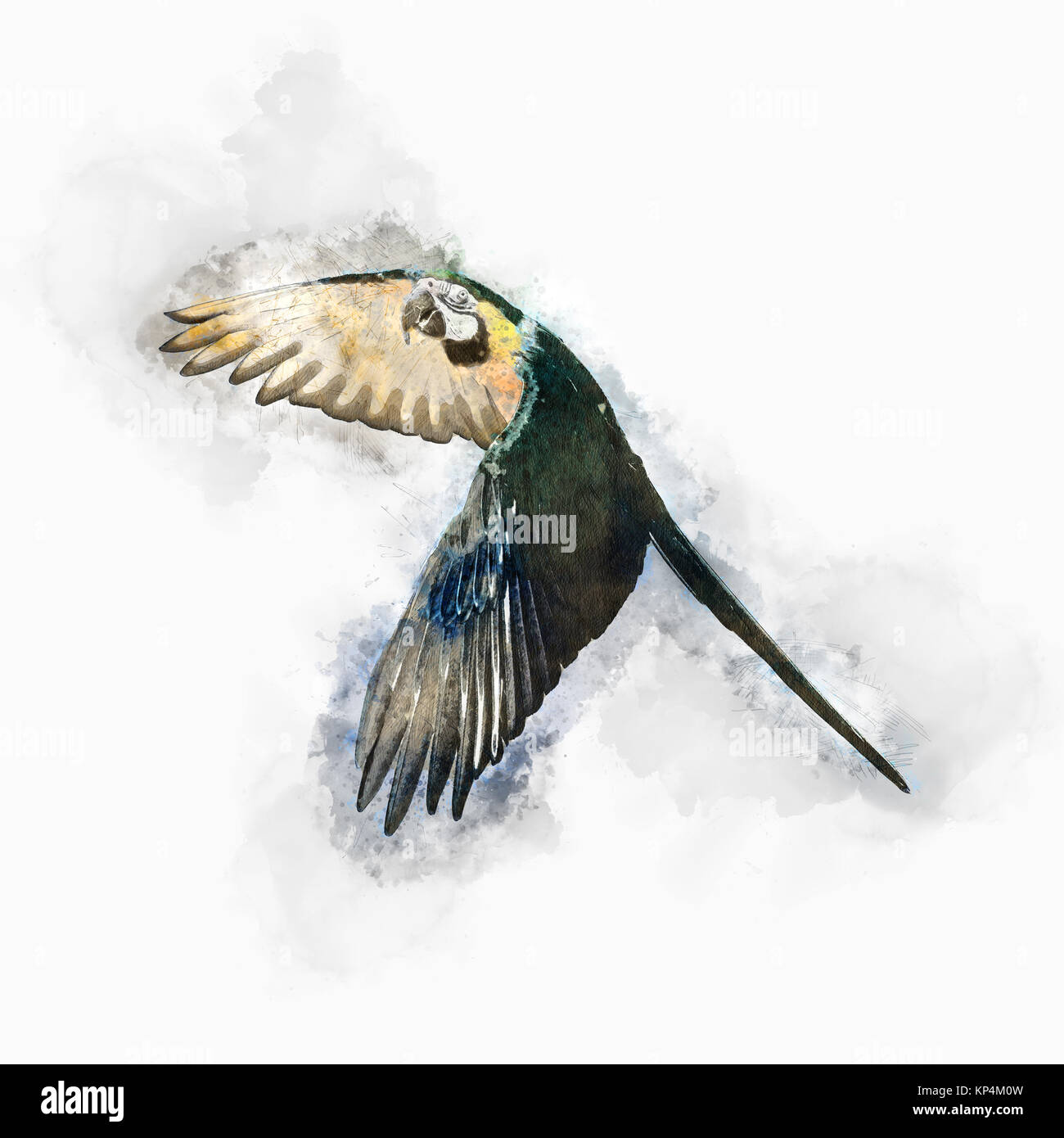 Migliorate digitalmente immagine di un pappagallo blu in volo Foto Stock