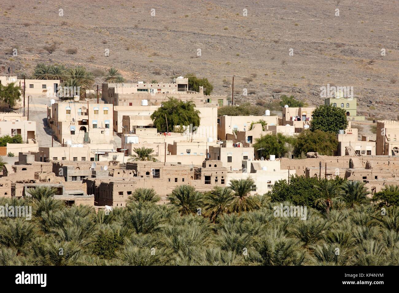 Le palme e il paesaggio urbano. Città storica di Al Hamra, Oman. Foto Stock