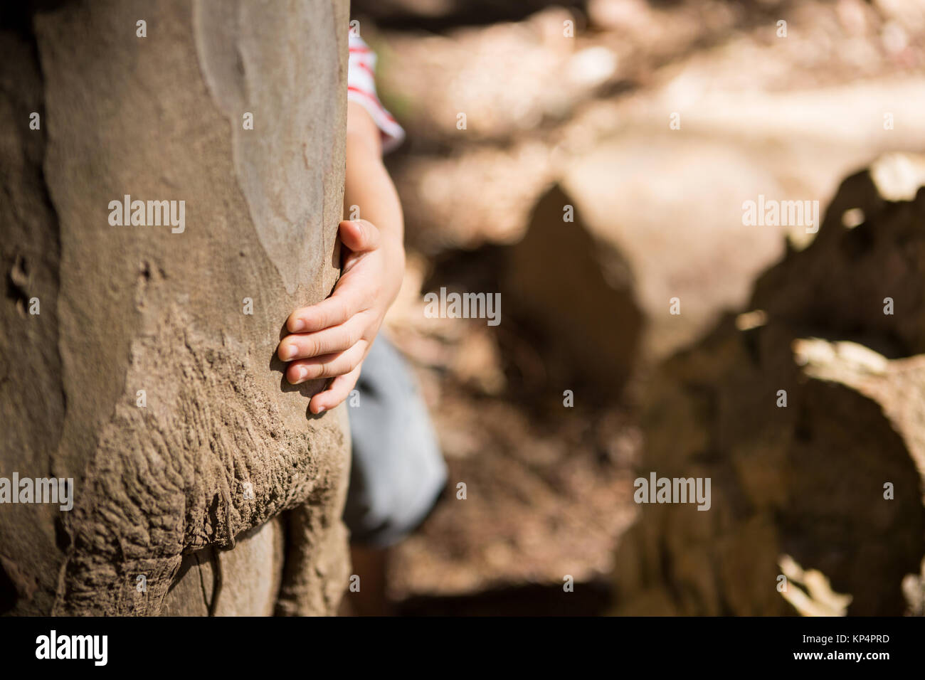 Close-up di bambina mano azienda del tronco di un albero in una giornata di sole nella foresta Foto Stock