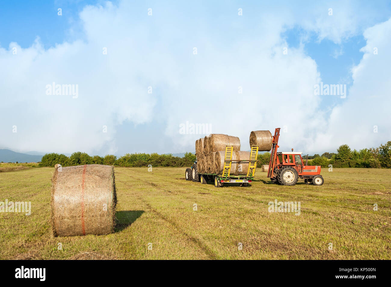 Agricolo di scena. Il trattore la raccolta di balle di fieno in campo e carico sul carro di fattoria. Foto Stock