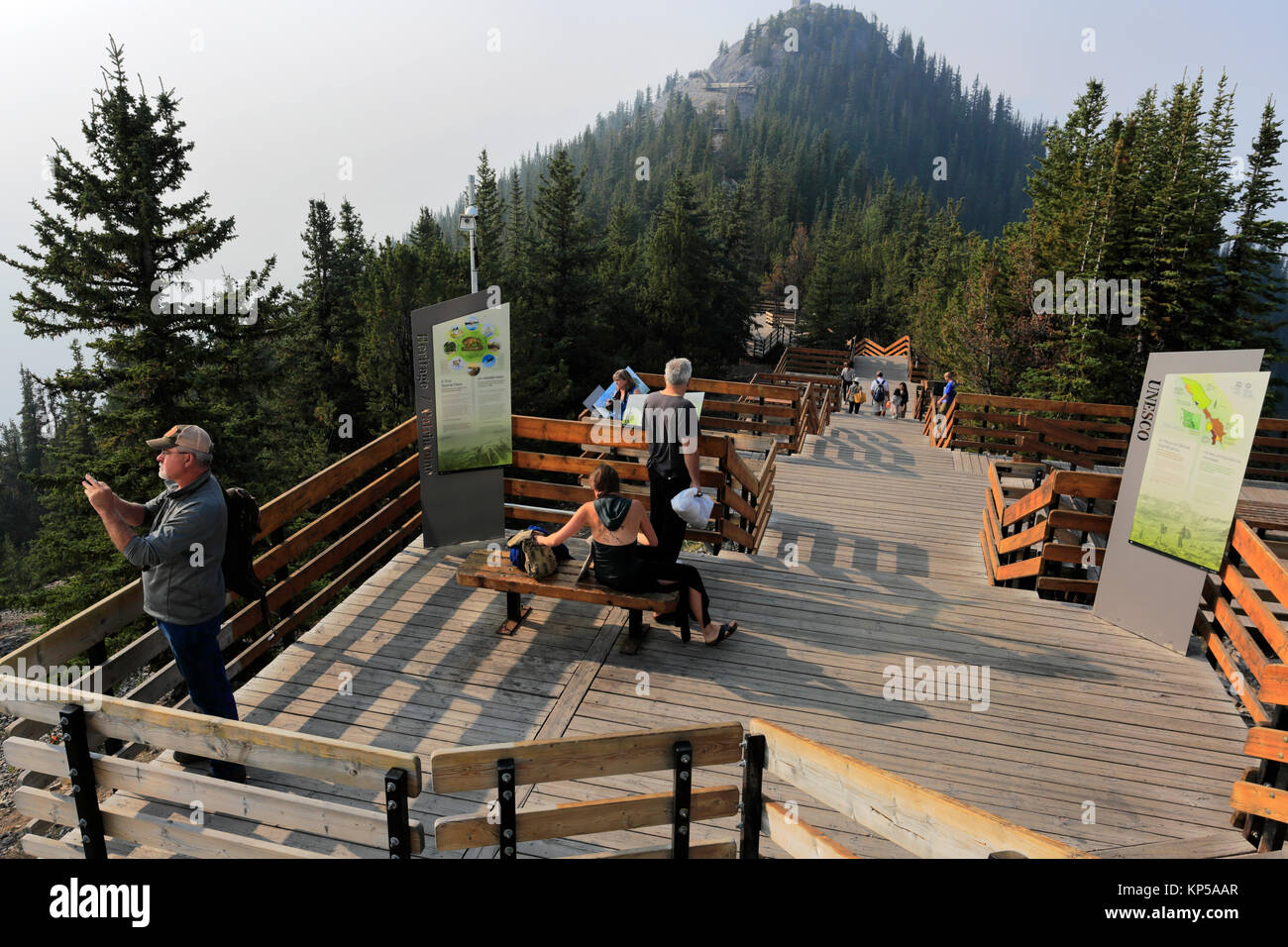 Vista su Banff Gondola funivia, Banff town, il Parco Nazionale di Banff, Sito Patrimonio Mondiale dell'UNESCO, montagne rocciose, Alberta, Canada. Foto Stock