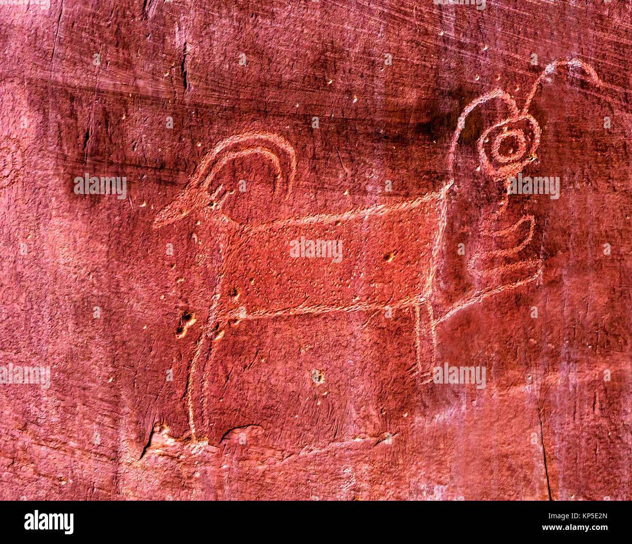 Native American Indian Fremont Ovini Caprini Petroglyph Montagna di arenaria Capitol Reef National Park nello Utah Torrey Foto Stock