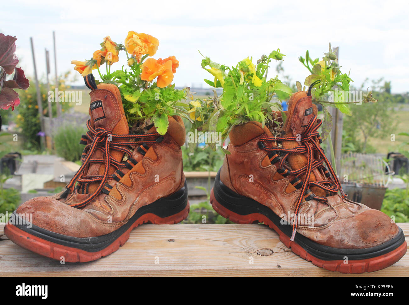 Vecchi scarponi da montagna con fiori Foto stock - Alamy