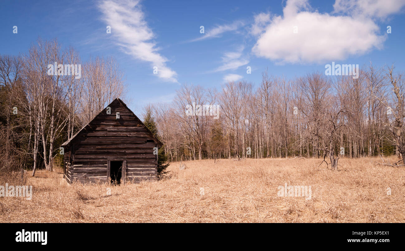 Cabina abbandonata rurale in campagna invernale del Nord STATI UNITI D'AMERICA Foto Stock