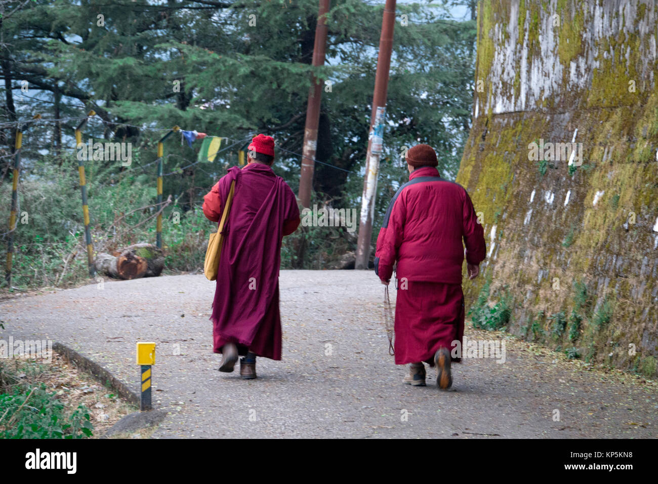 I monaci buddisti a piedi lungo la strada a Mcleod Ganj, Himachal Pradesh, India Foto Stock