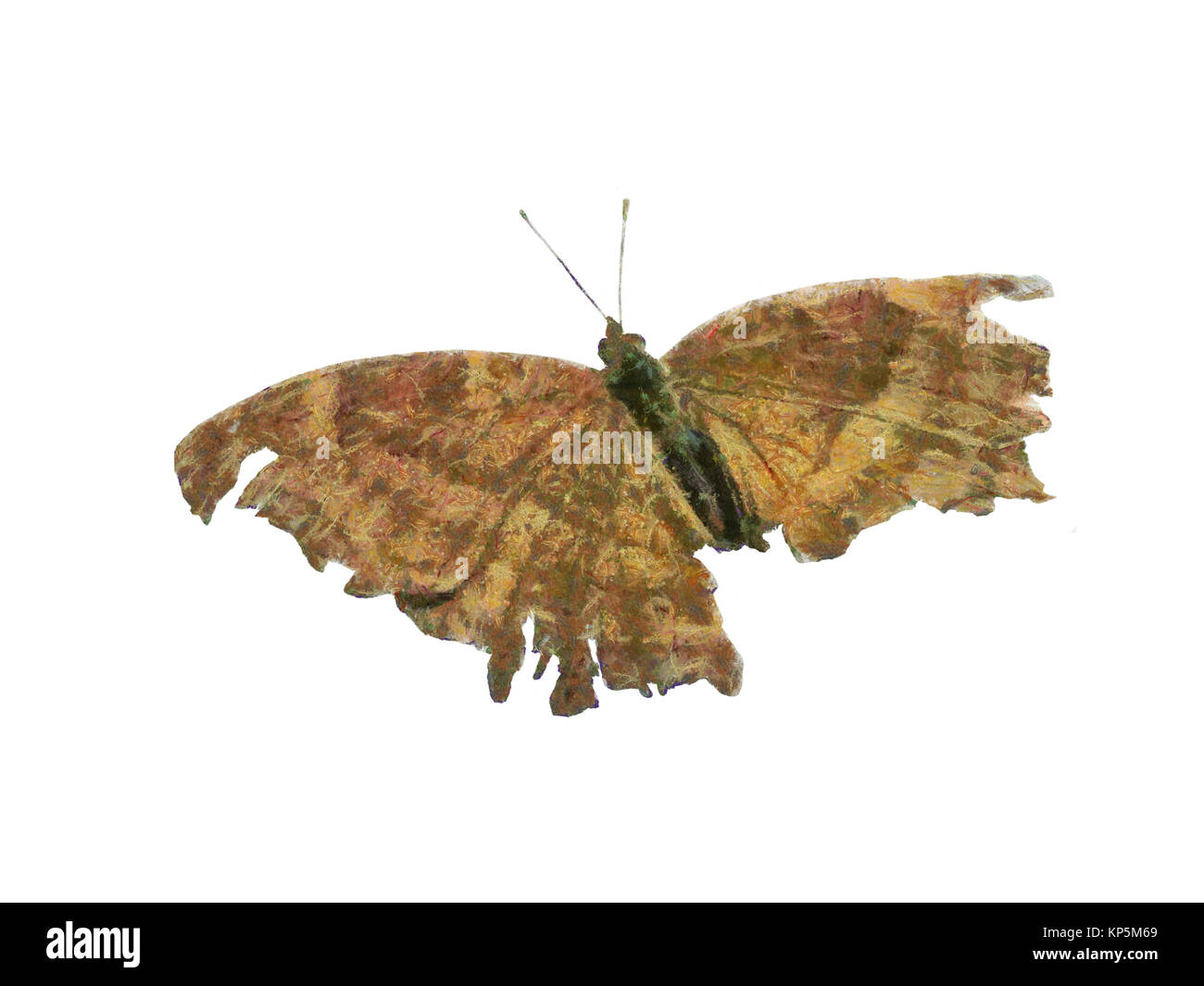 Farfalla incompleta di body painting Foto Stock