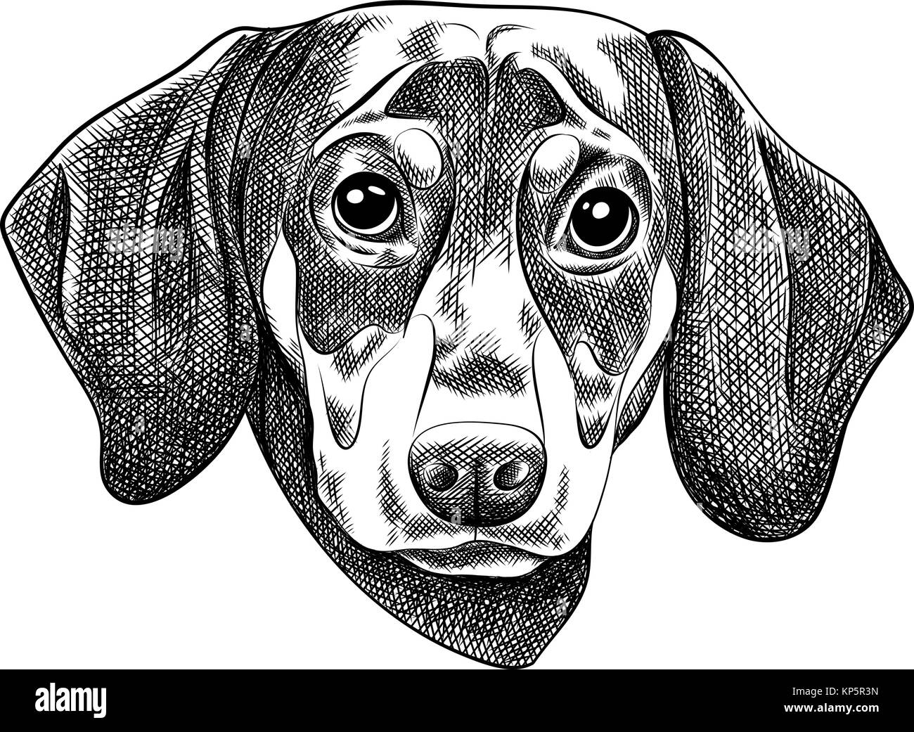 Illustrazione Vettoriale Di Un Cane Bassotto Per Un Biglietto Di