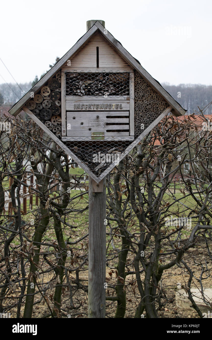 Insetti piccoli hotel Foto Stock