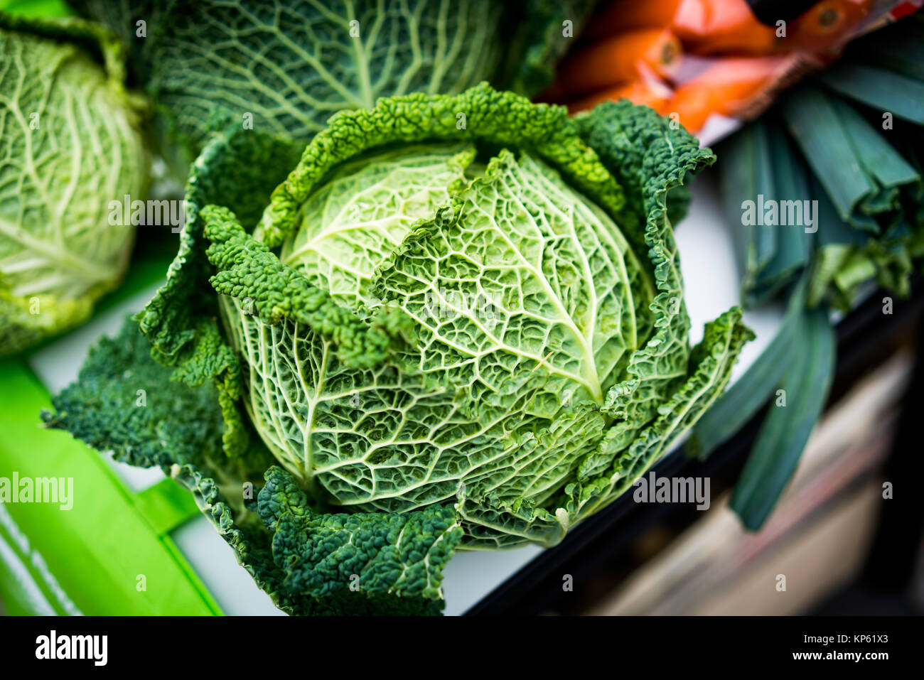 Cavolo verza (Brassica oleracea). Foto Stock