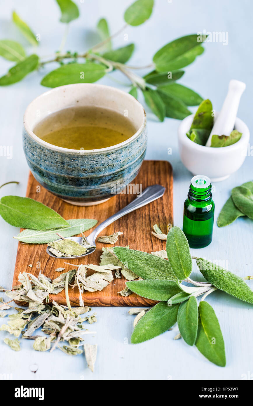 Salvia (Salvia officinalis) olio essenziale e tè. Foto Stock