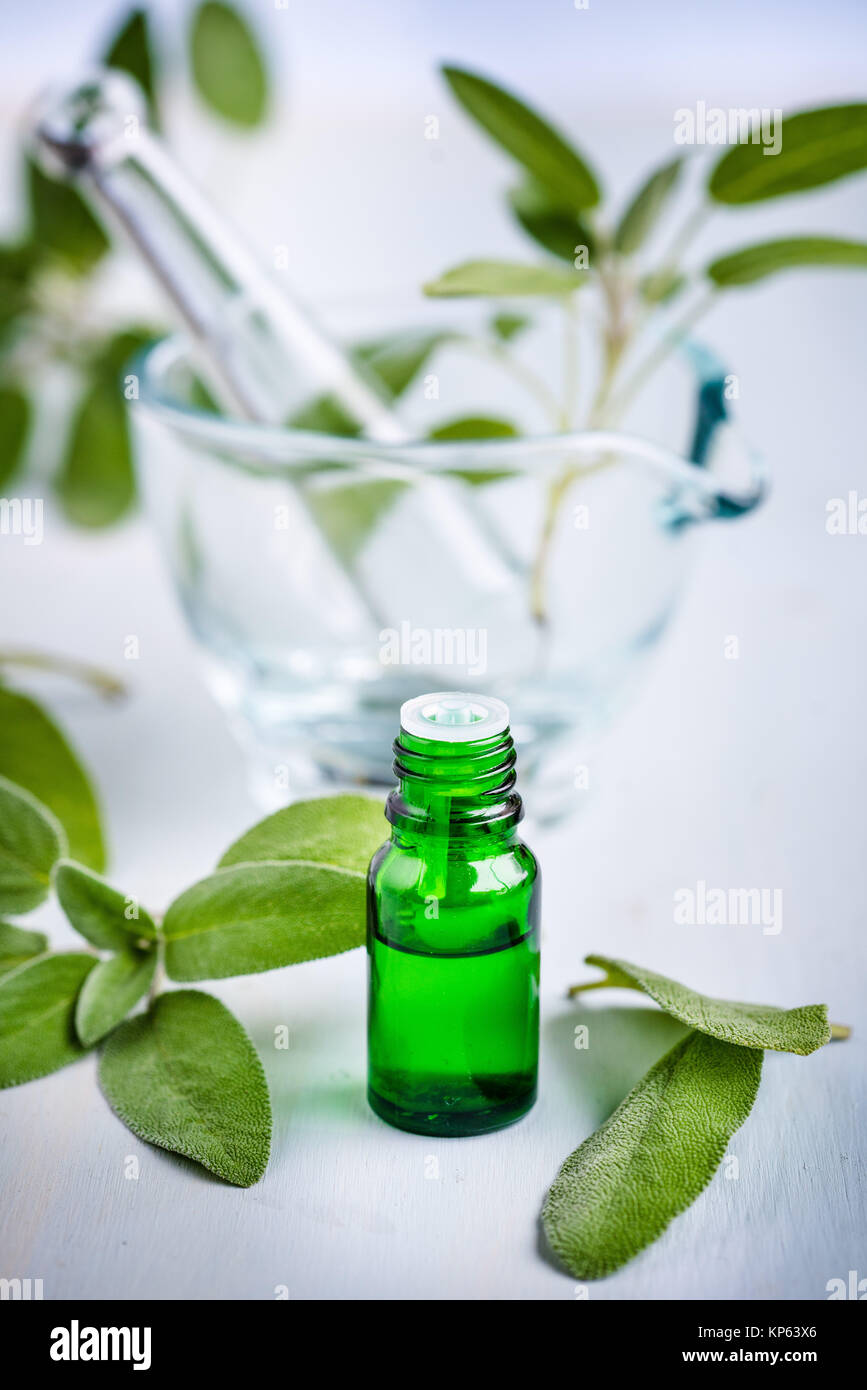 La salvia olio essenziale. Foto Stock