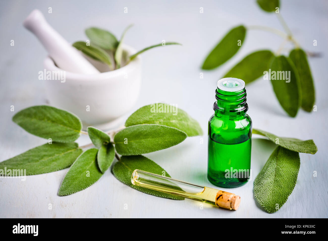 La salvia olio essenziale. Foto Stock