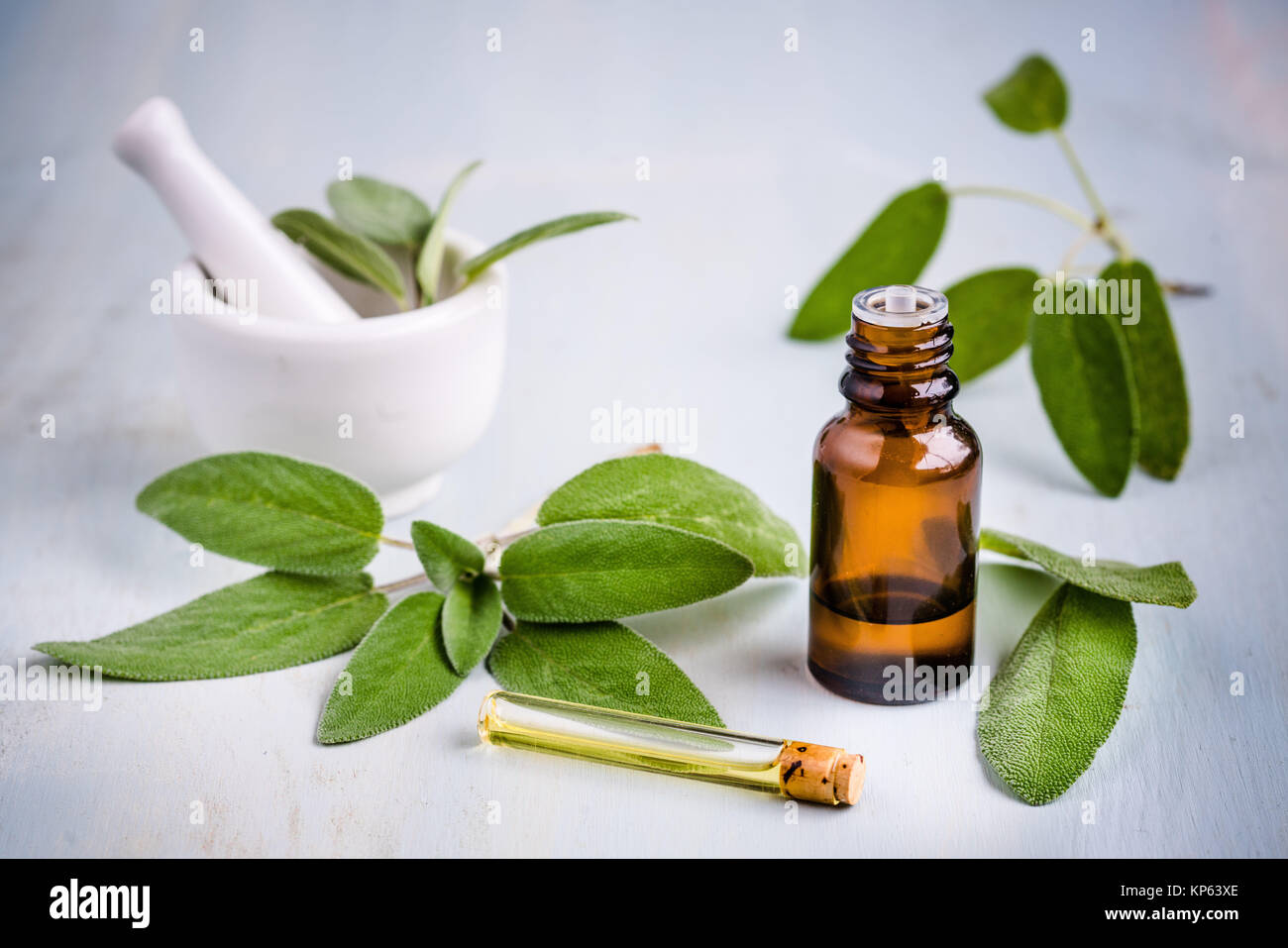 La salvia olio essenziale. Foto Stock