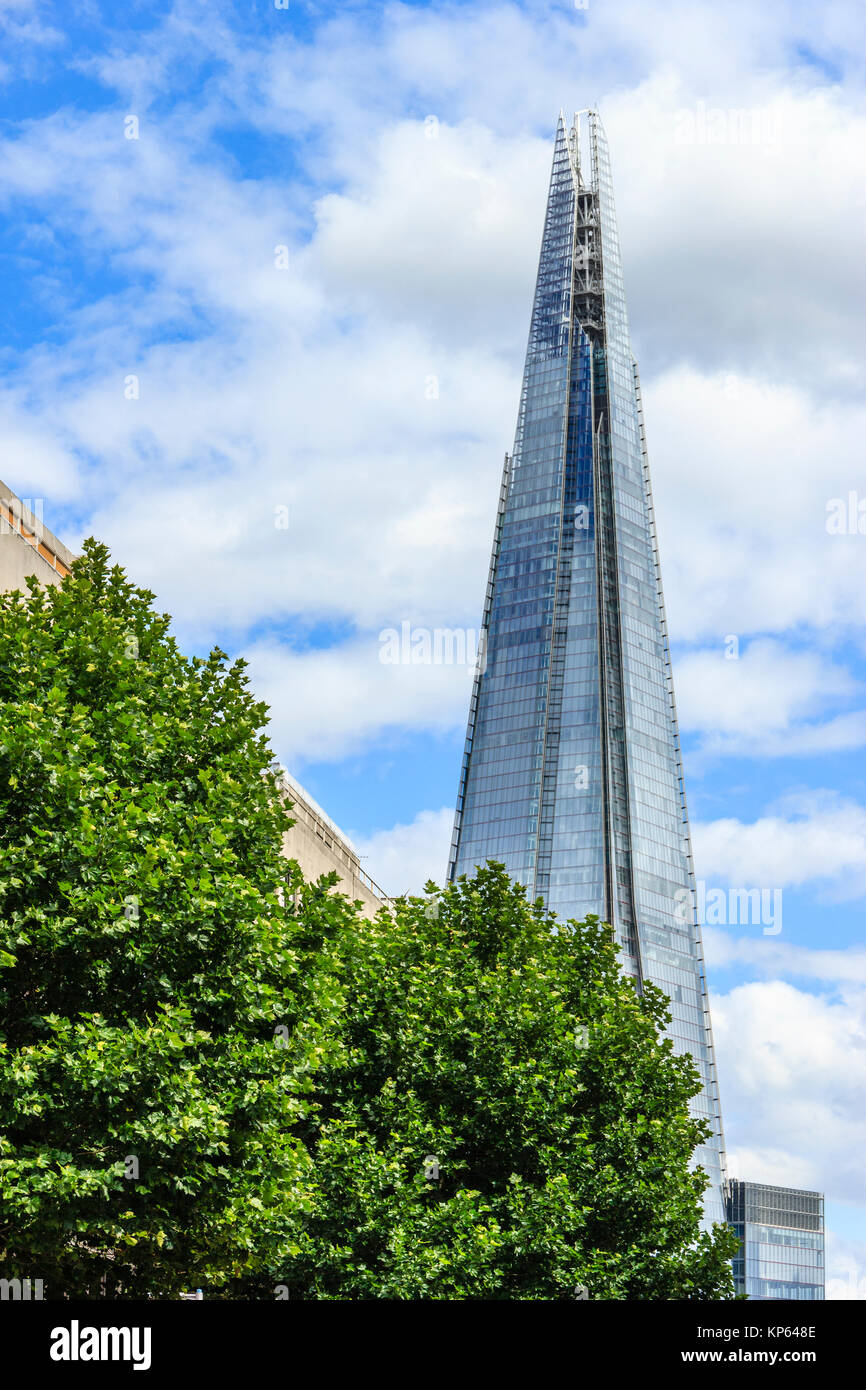 La Shard torreggianti alberi di cui sopra a Southwark, Londra, Regno Unito, un pomeriggio estivo Foto Stock