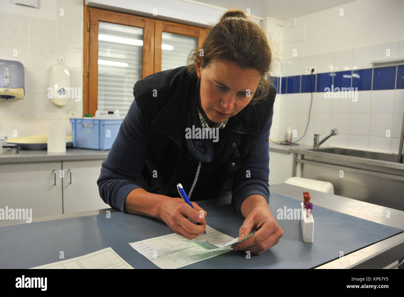 VETERINARIO Foto Stock