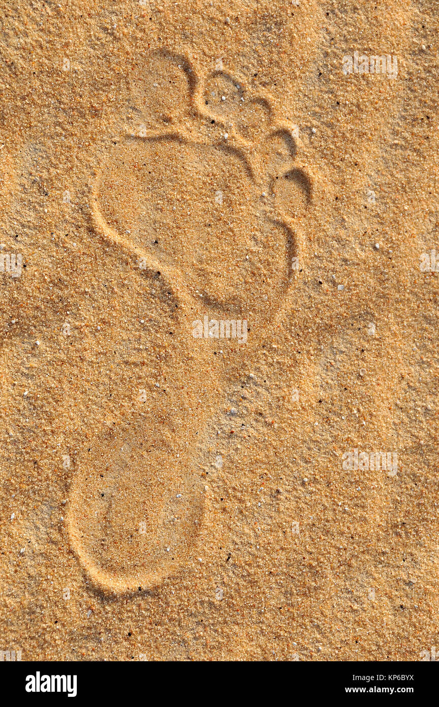 Footprint nel deserto, Assiout provincia. L'Egitto. Foto Stock