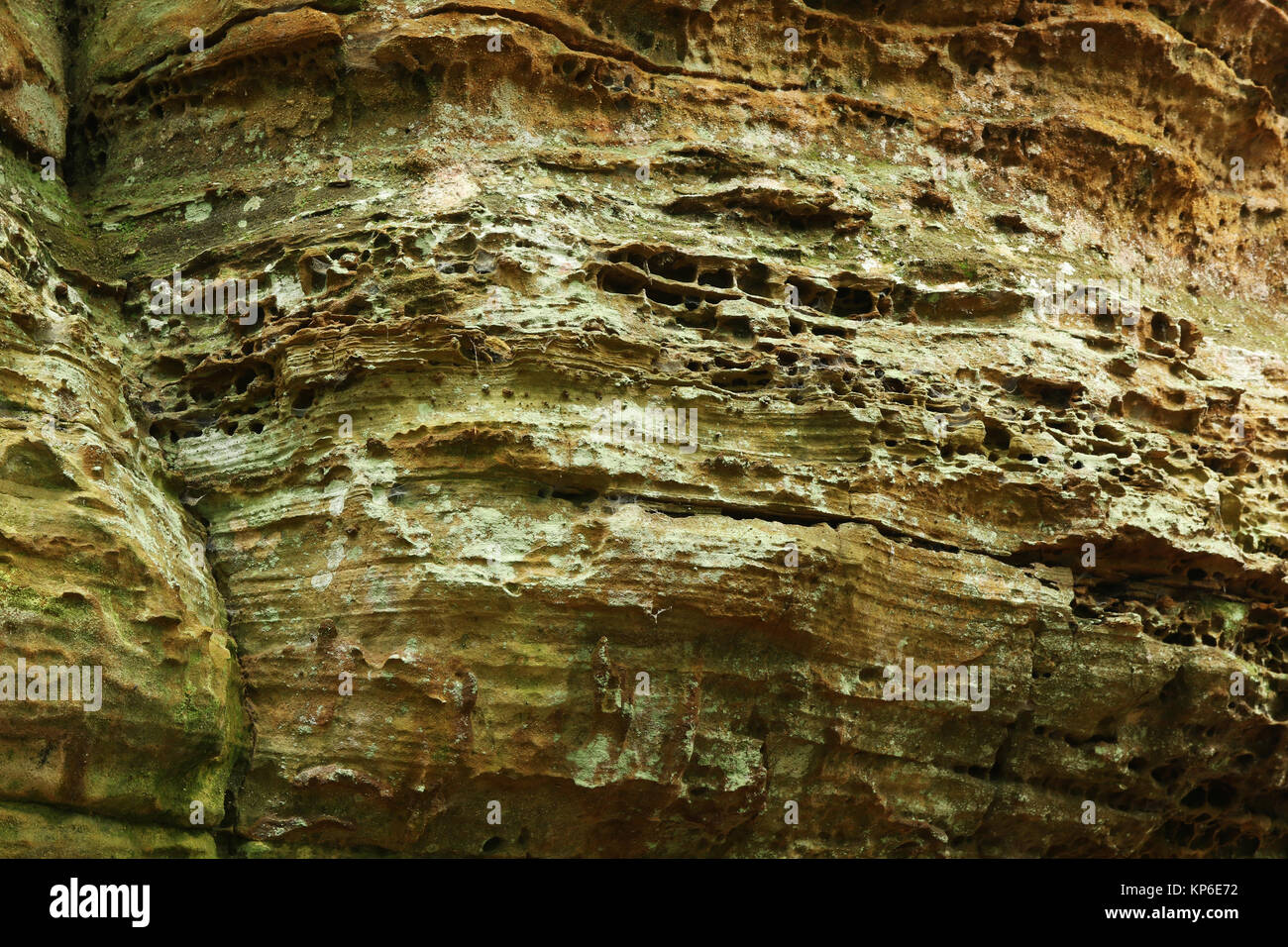 Erosione a nido d'ape. L'acqua che permea attraverso la porosa arenaria Blackhand erode allentati i grani di sabbia e i moduli box dall'interno della roccia. Edg Foto Stock