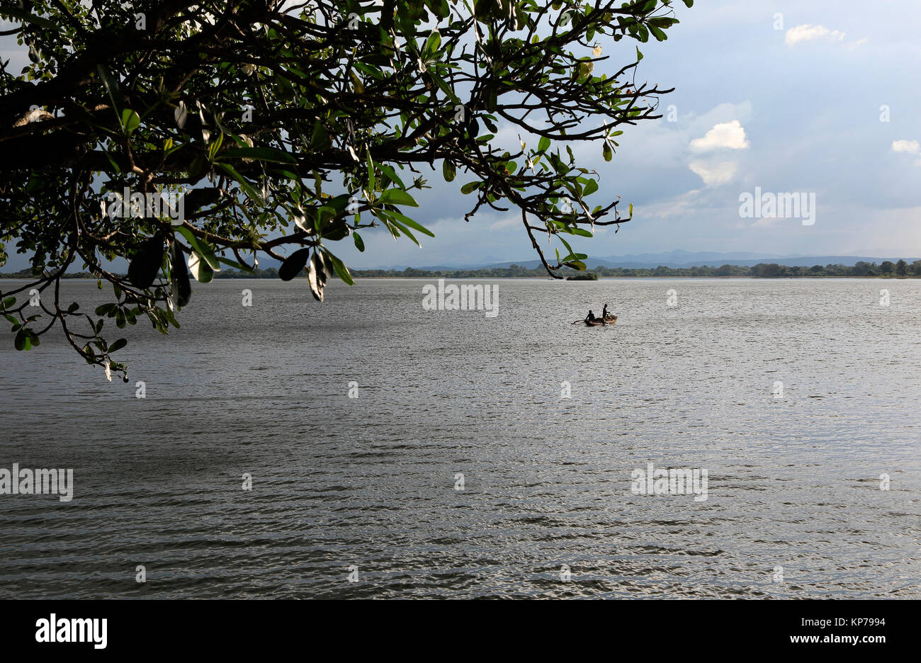 Calma il lago di acqua del serbatoio Polonnaruwa, Nord provincia centrale, Sri Lanka, Asia Foto Stock