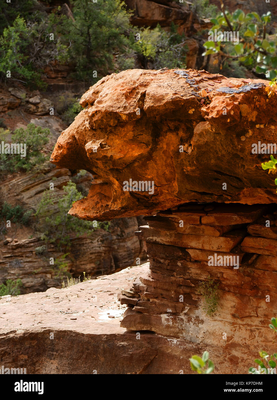 Rock cercando come grim faccia animale, Canyon Overlook Trail, Parco Nazionale Zion, Utah, Stati Uniti d'America Foto Stock