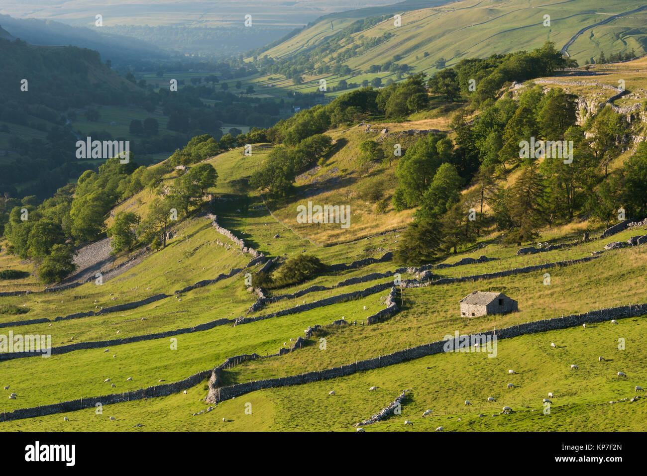 A lunga distanza vista dalla torta Conistone verso Kettlewell e Halton Gill, oltre splendide Yorkshire Dales campagna - North Yorkshire, Inghilterra, Regno Unito Foto Stock