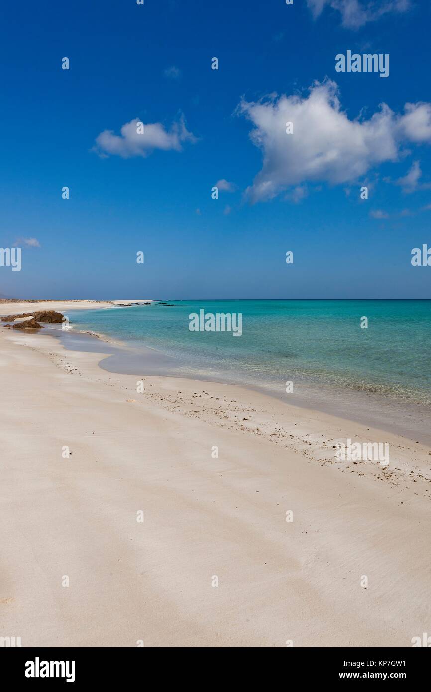 Erher, east coast, isola di Socotra, classificato come patrimonio mondiale dall' UNESCO, Aden Governatorato, Yemen, Arabia, Ovest Asiatico Foto Stock