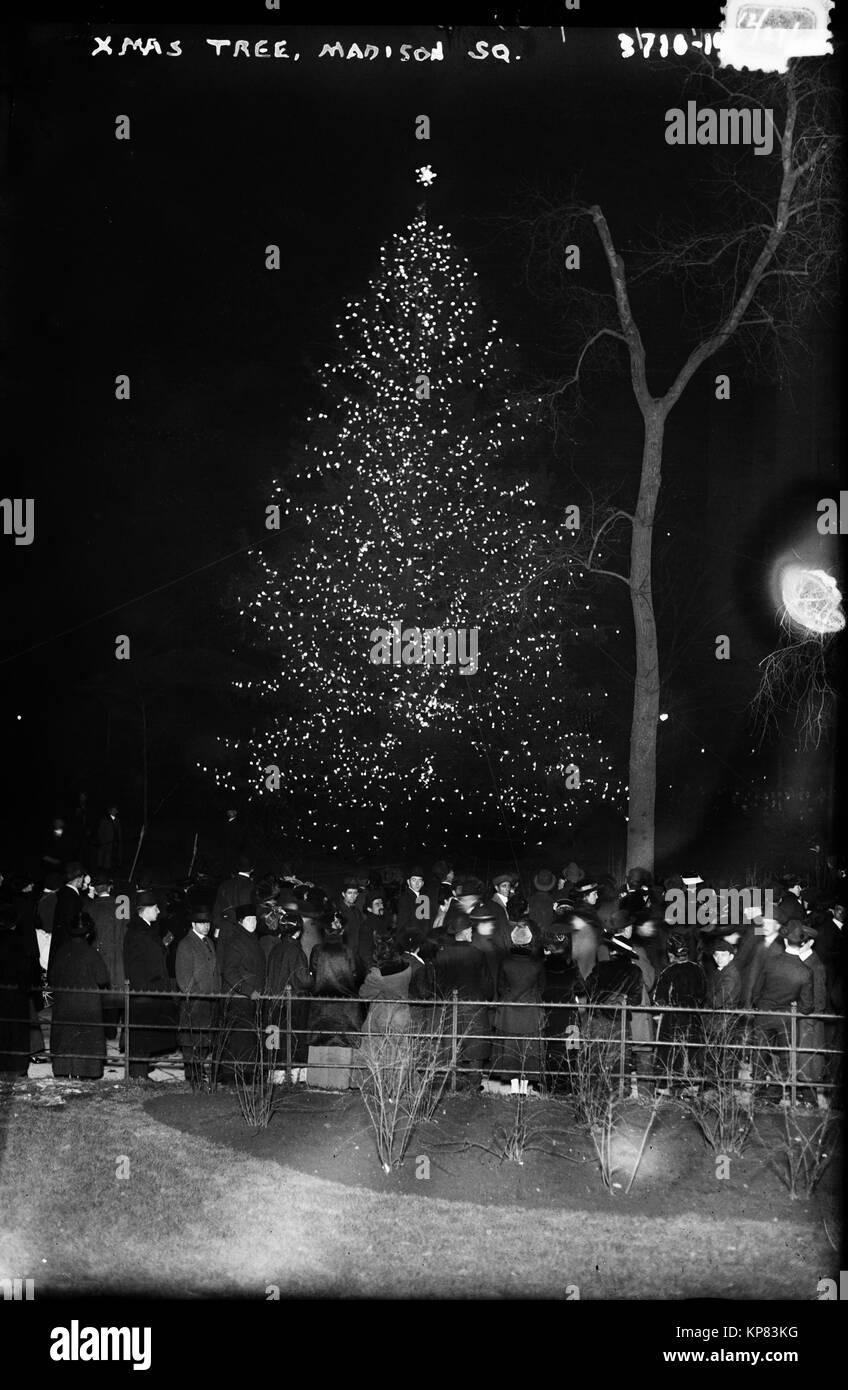 Albero di Natale illuminato di notte in Madison Square Park di New York City inizio novecento o inizio del XX secolo Foto Stock