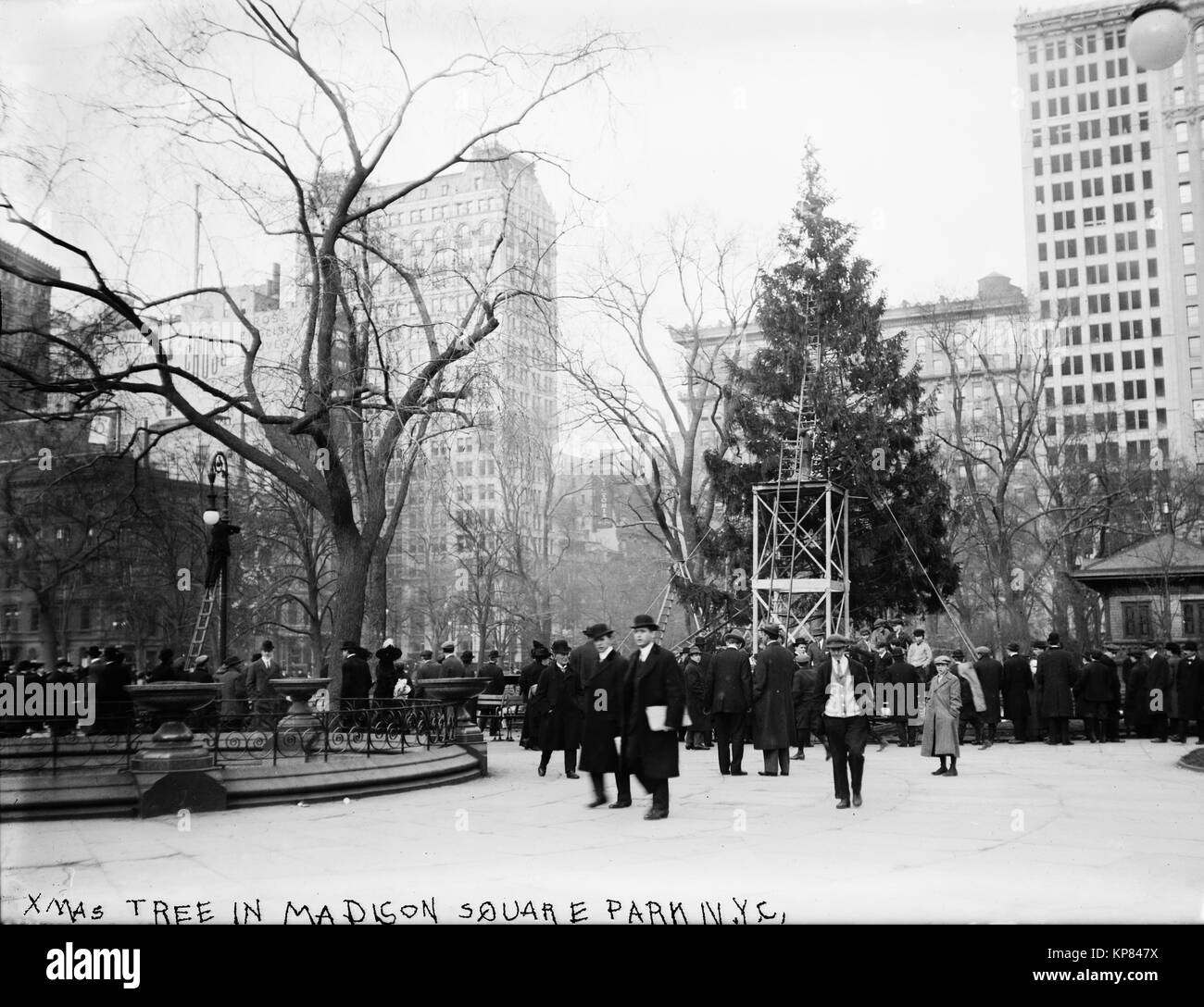 La folla in piedi in Madison Square Park di New York City dopo l albero di Natale sollevato Foto Stock