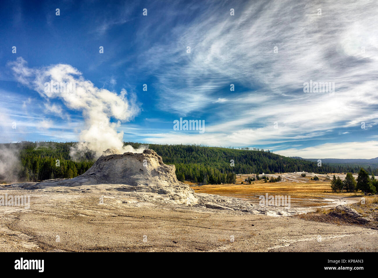 Yellowstone area termale, Upper Geyser Basin, il Parco Nazionale di Yellowstone, Wyoming USA Foto Stock