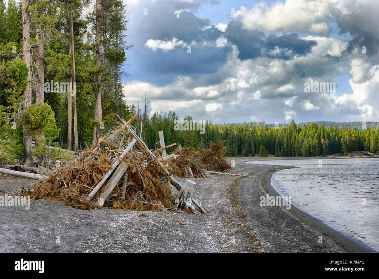 Lago Yellowstone, Wyoming USA Foto Stock