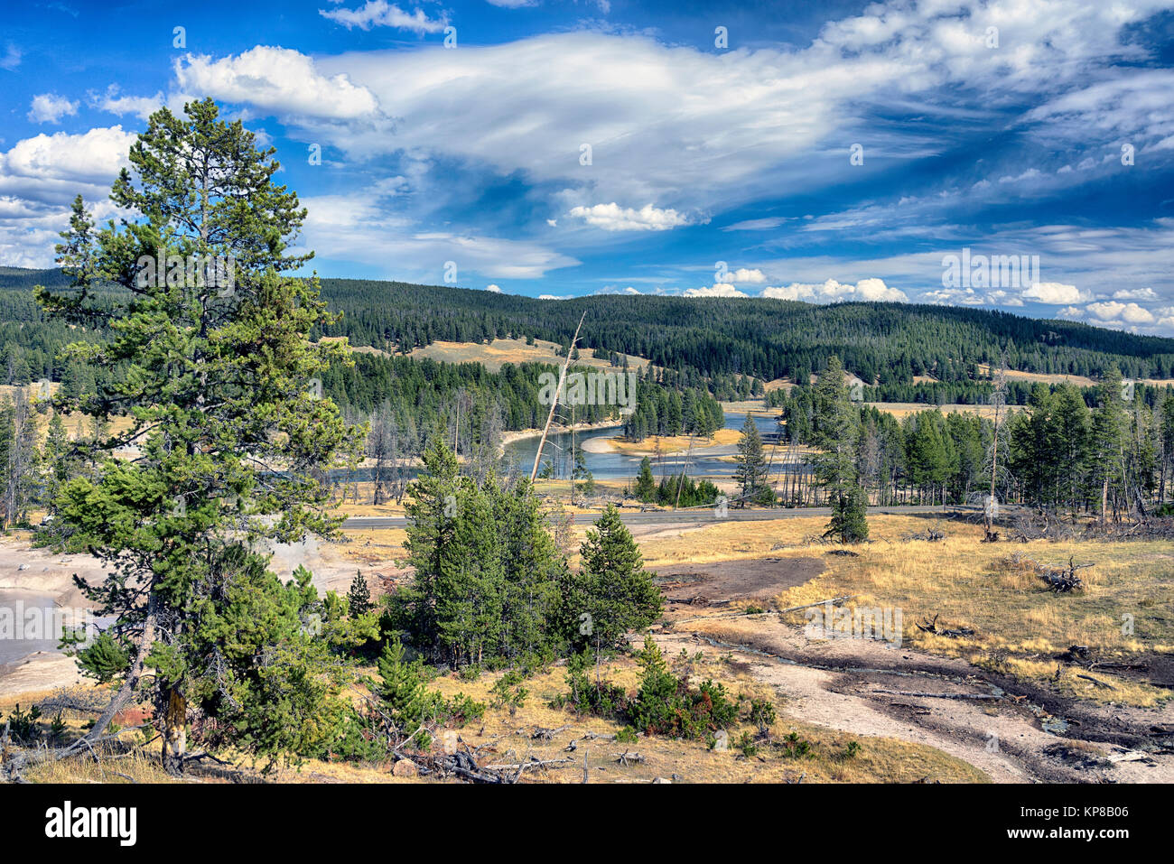 Yellowstone area termale, Upper Geyser Basin. Il Wyoming, STATI UNITI D'AMERICA Foto Stock