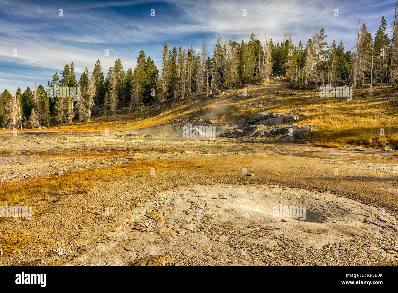 Yellowstone Themal superiore paesaggio del bacino, Wyoming USA Foto Stock