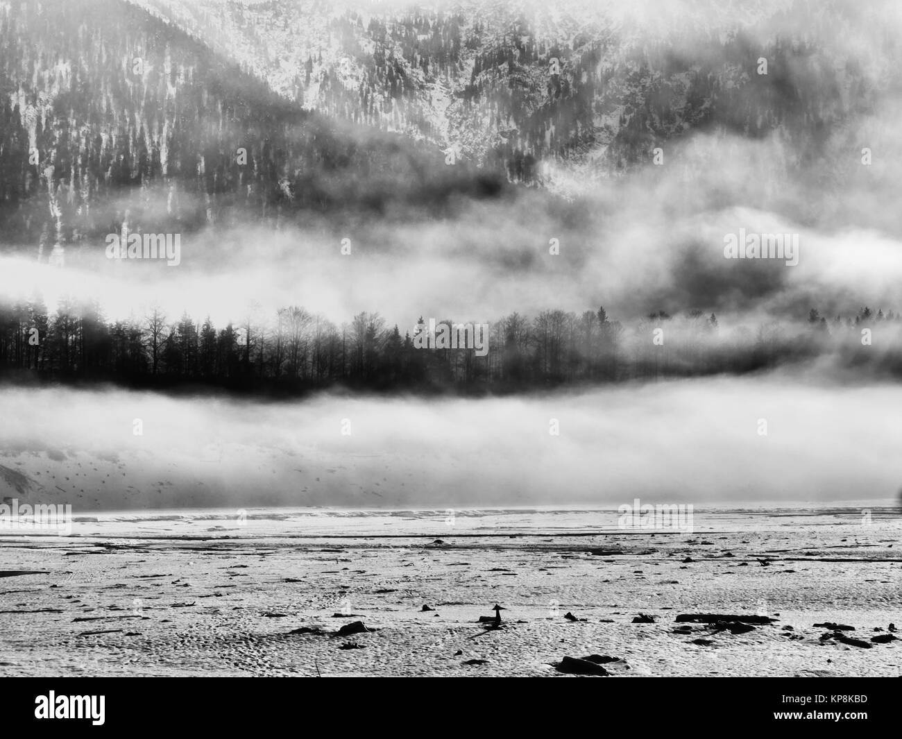 Mystic paesaggio invernale innevato - lago di montagna nella nebbia (sylvensteinsee) Foto Stock