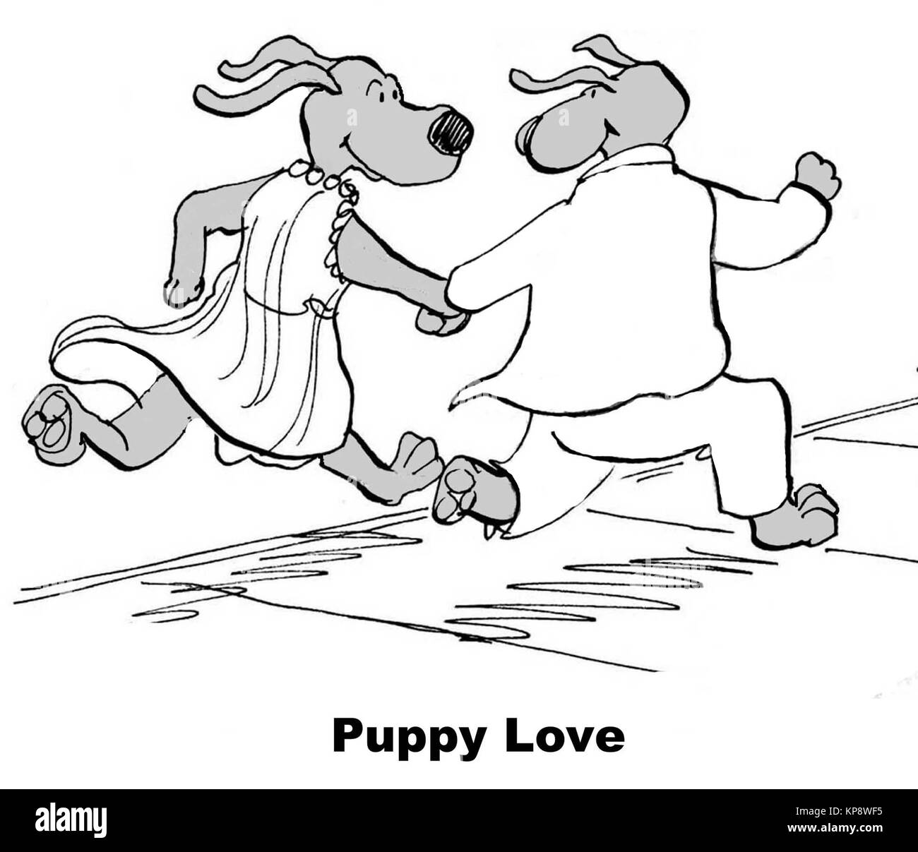 Due cani sono alla ricerca affettuosamente a vicenda e in esecuzione, sono nell'amore. Foto Stock