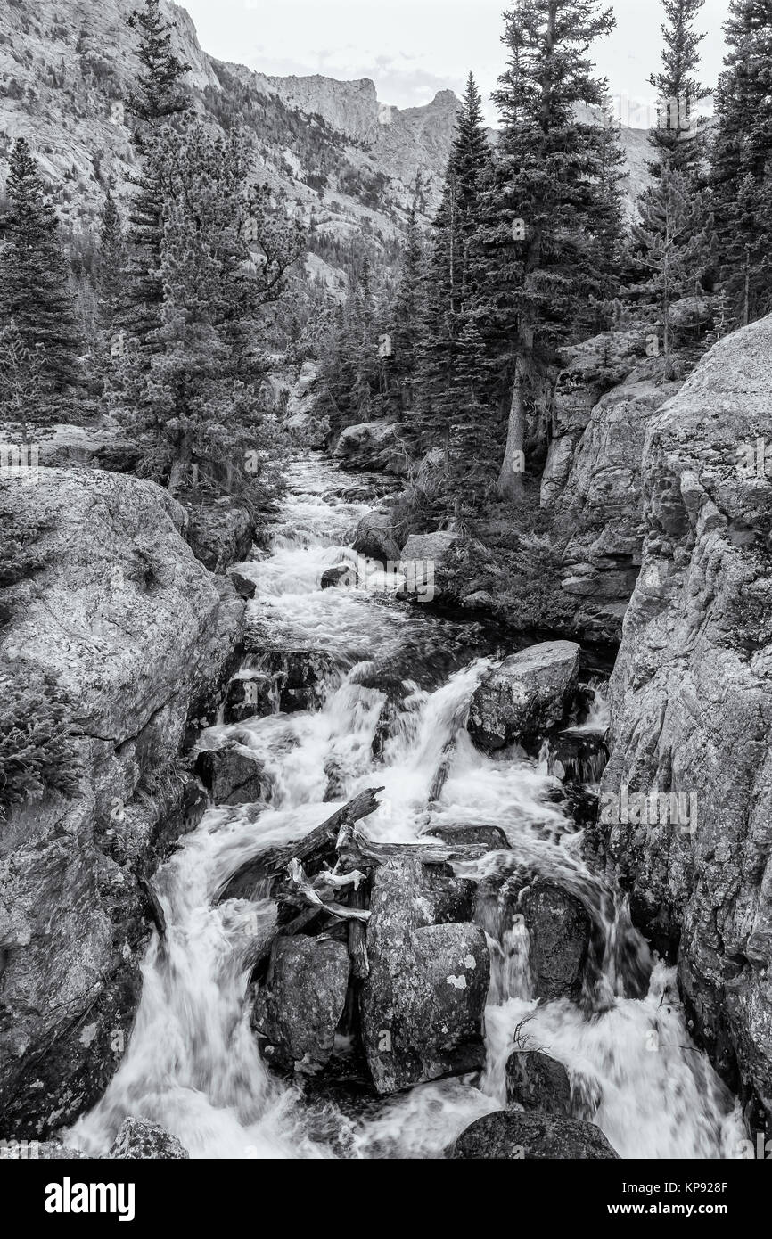 Immagine in bianco e nero del Glacier Creek presso la cima del ghiacciaio rientra nel Parco Nazionale delle Montagne Rocciose, Colorado Foto Stock