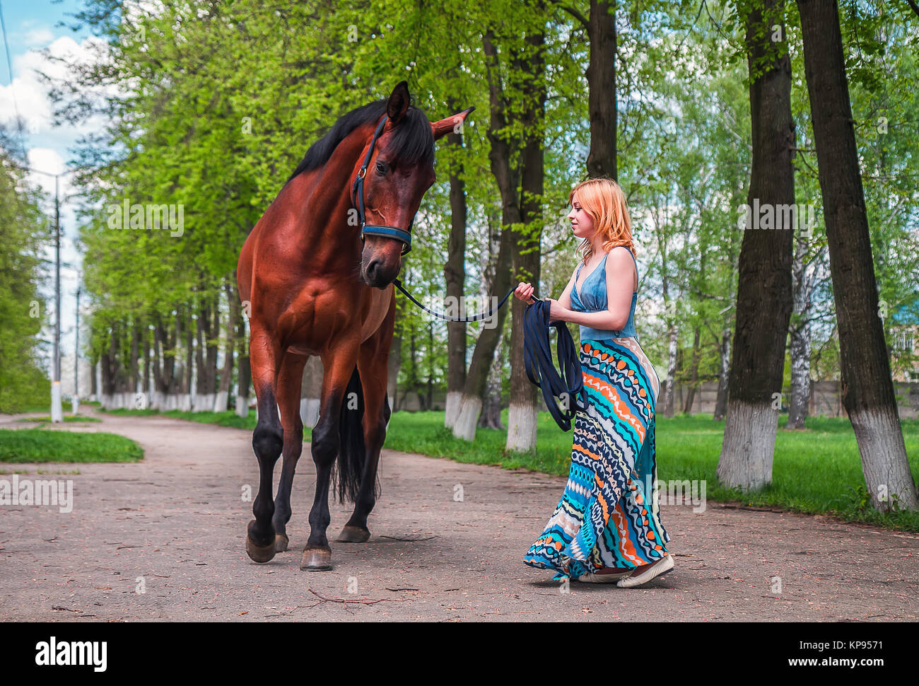 Giovane biondo conduce un cavallo Foto Stock