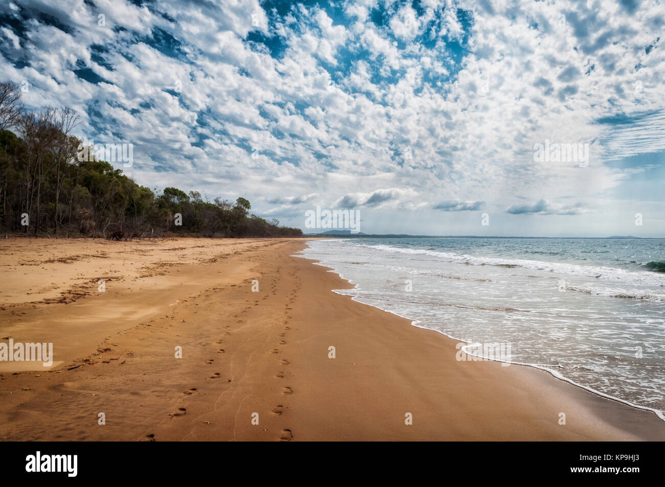 Tropical Beach, Australia Foto Stock