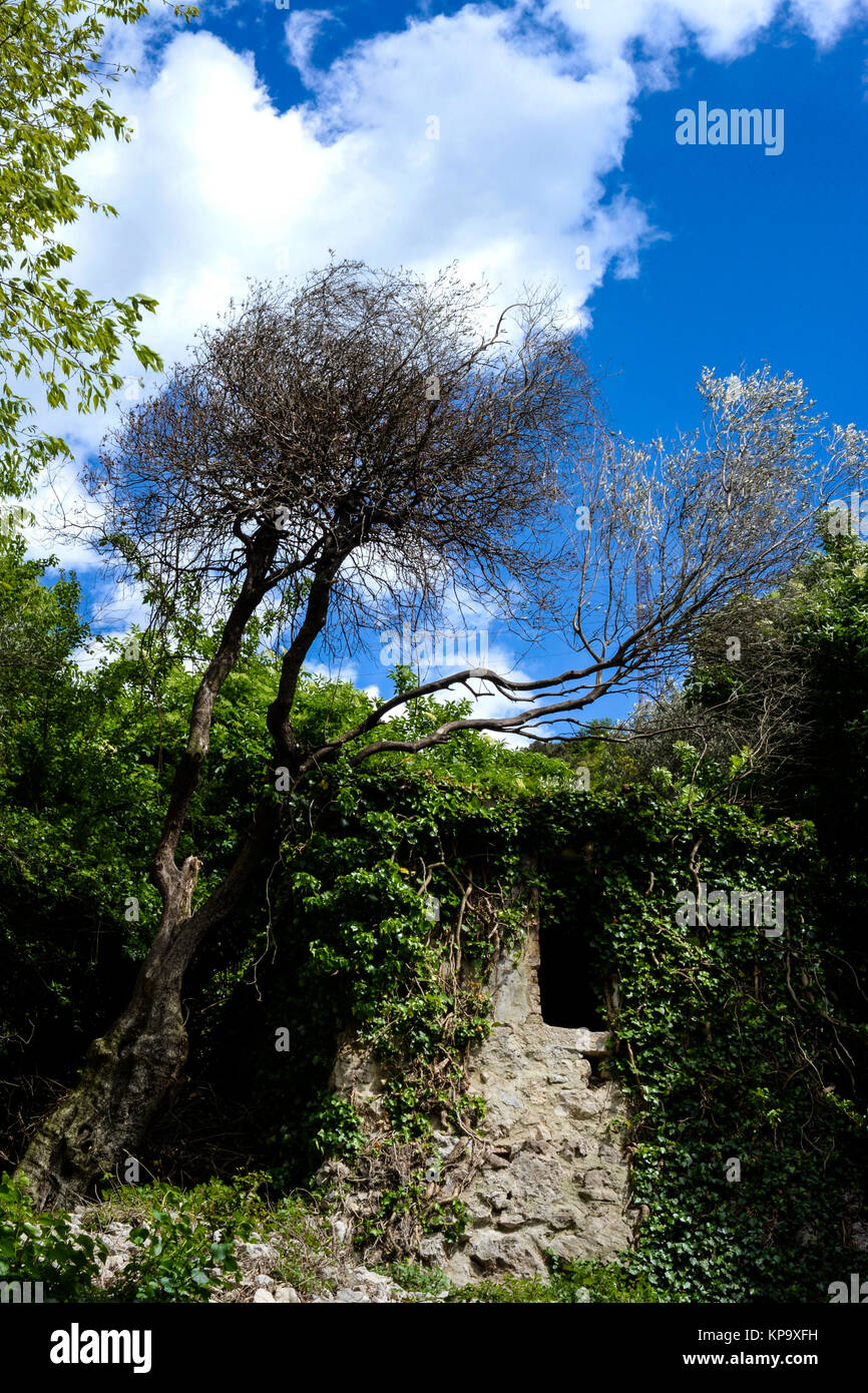 Sulla vecchia strada romana tra Nago e Torbole - Trentino Foto Stock