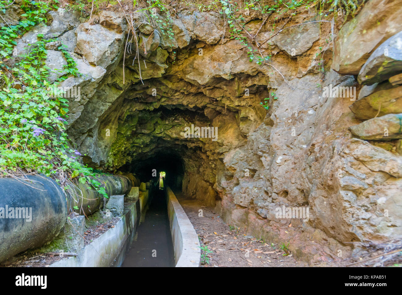 Levada sentiero a piedi a Madeira - levada dos tornos con uno dei tanti mountain-through. (Tunnel) Foto Stock