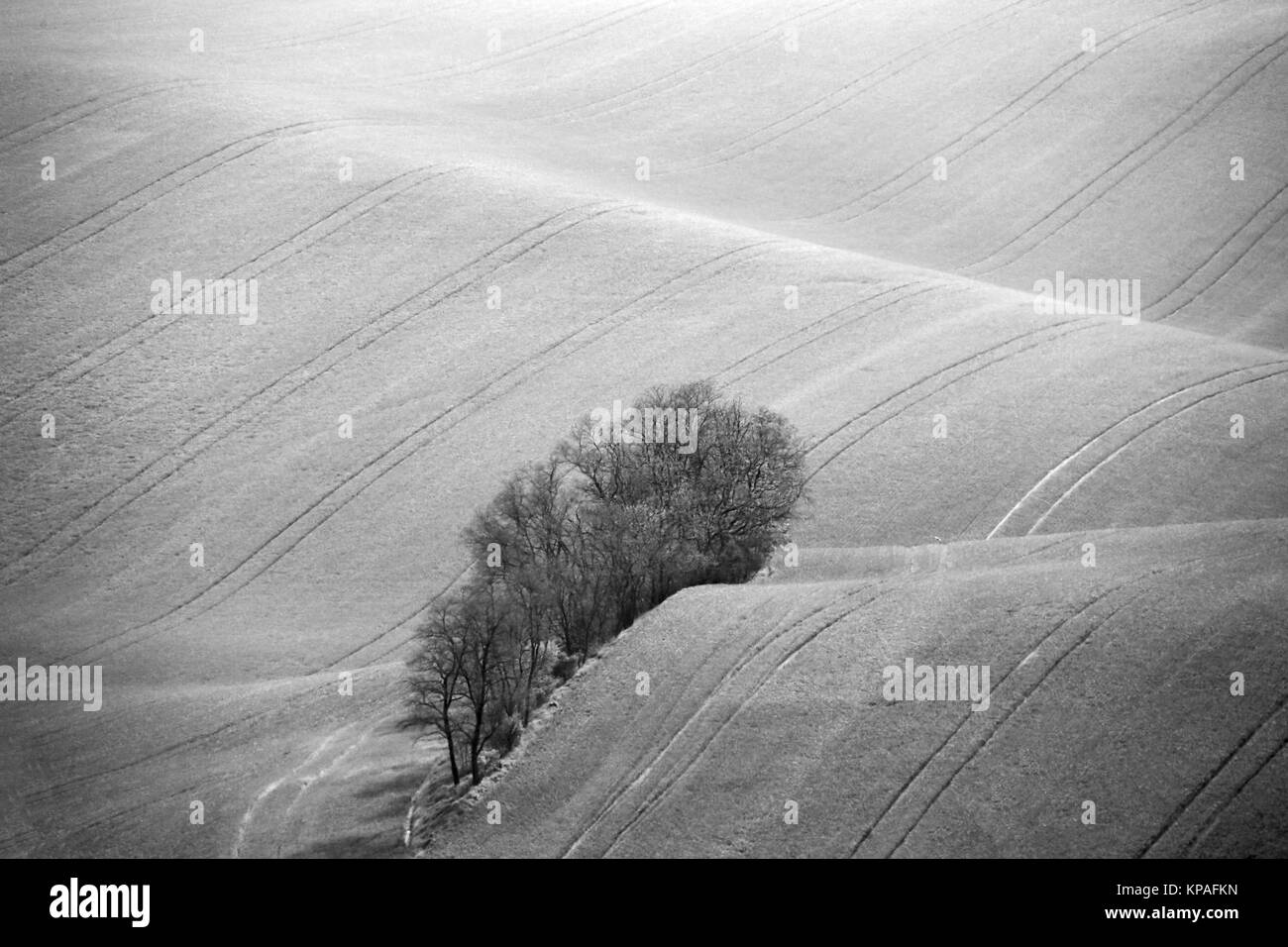 Repubblica Ceca Moravia colline. L' agricoltura . Terreni coltivabili in primavera. Foto Stock