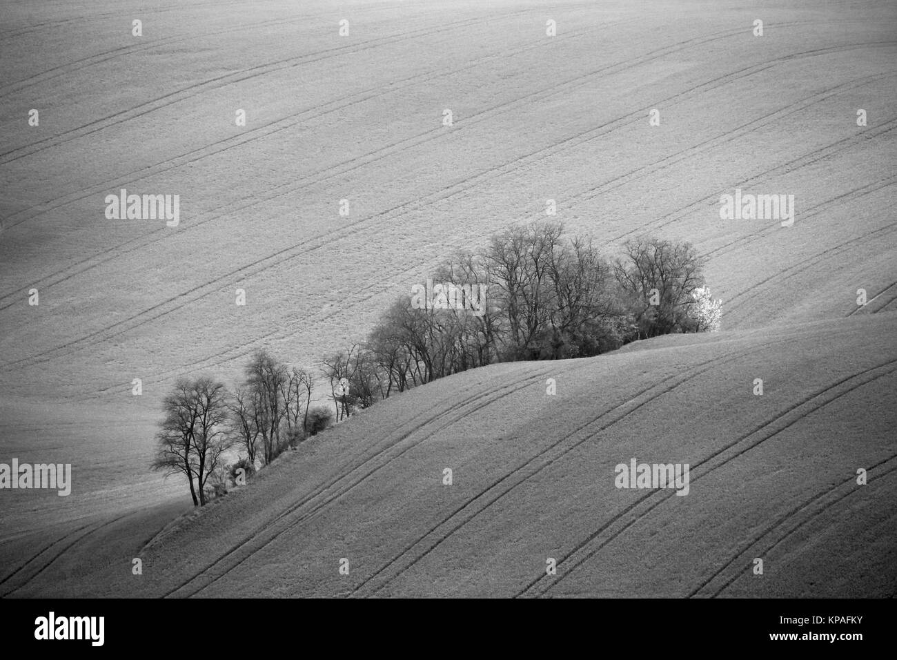 Repubblica Ceca Moravia colline. L' agricoltura . Terreni coltivabili in primavera Foto Stock