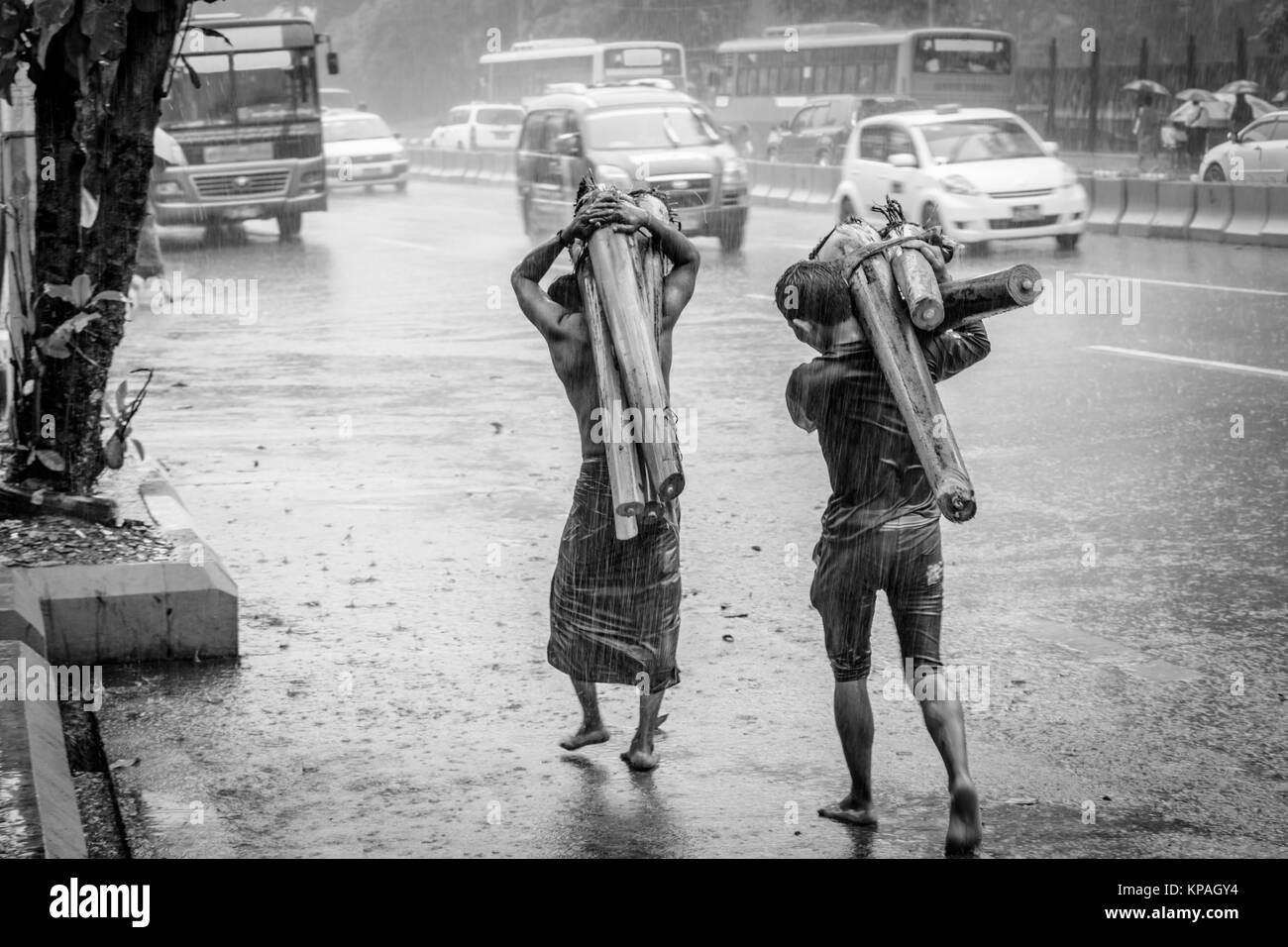 Ci sono due persone che trasportano piante di banana sulla strada, sotto la pioggia Foto Stock