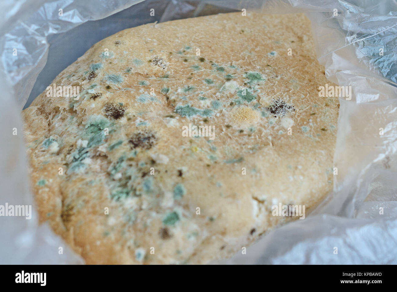 I funghi sono onnipresenti in prodotti di pane. In sostanza esteso la colonia crescere in umido caldo posti su terreno nutriente. Samara. La Russia 17 Luglio 2016 Foto Stock